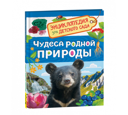 Р.Чудеса родной природы (Энциклопедия для детского сада)