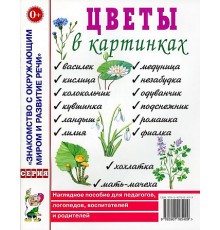 Цветы в картинках. Наглядное пособие для педагогов, воспитателей, логопедов, родителей. 50182
