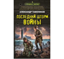 Последний шторм войны