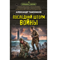 Последний шторм войны