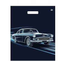 Пакет 38х45 =60 Движение Ламинат  прор (50-500) №16