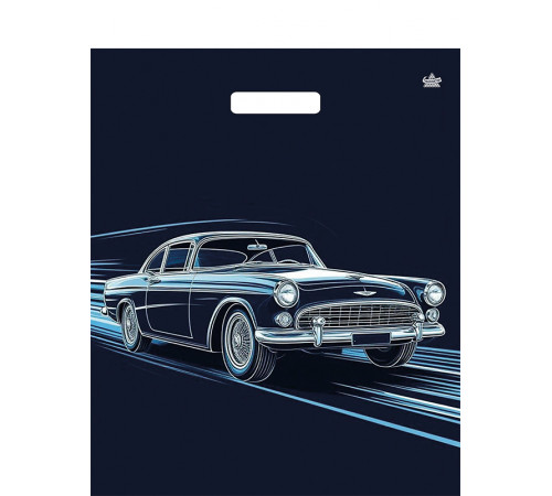 Пакет 38х45 =60 Движение Ламинат  прор (50-500) №16