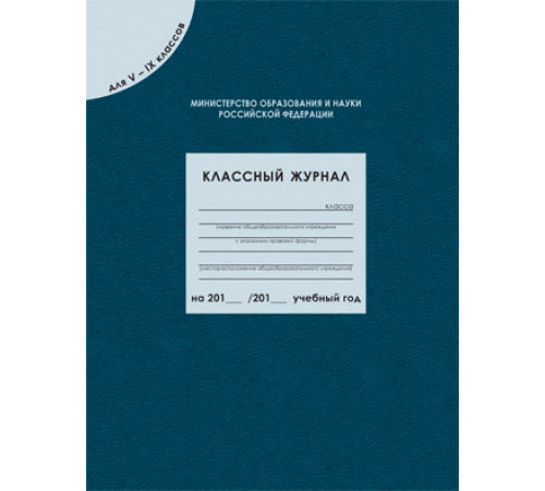 Дневник классного руководителя. Классный журнал для 5-9 кл. (96 листов)