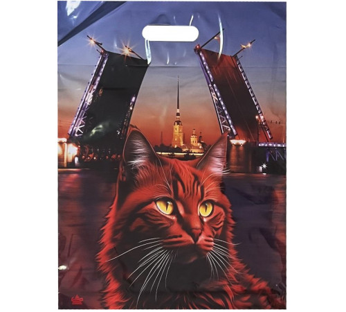 Пакет 38*45=60 мкм ВД Глянец 