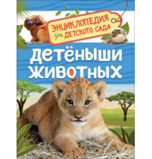 Клюшник Л. В.Детеныши животных (Энциклопедия для детского сада)