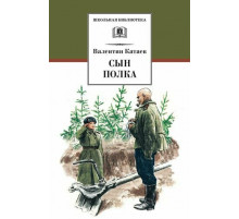 Школьная библиотека. Катаев. Сын полка