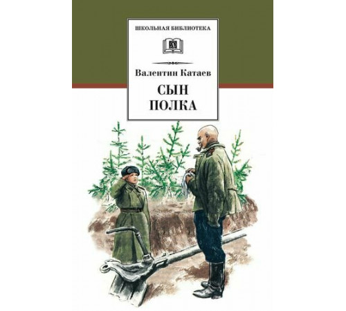 Школьная библиотека. Катаев. Сын полка