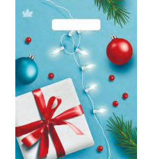 Пакет НГ прорубка 23*30=30 