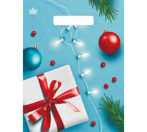 Пакет НГ прорубка 23*30=30 