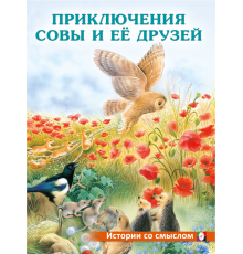 Книжки в мягкой обложке - Добрые истории для детей. Истории со смыслом. Приключения совы и её друзей