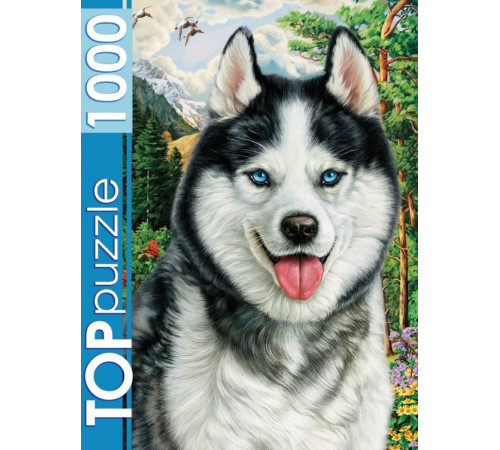 TOPpuzzle. ПАЗЛЫ 1000 элементов. ФТП1000-7178 Портрет хаски TOPpuzzle. ПАЗЛЫ 1000 элементов. ФТП1000-7178 Портрет хаски