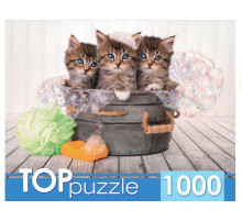TOPpuzzle. ПАЗЛЫ 1000 элементов.  Три голубоглазых котёнка