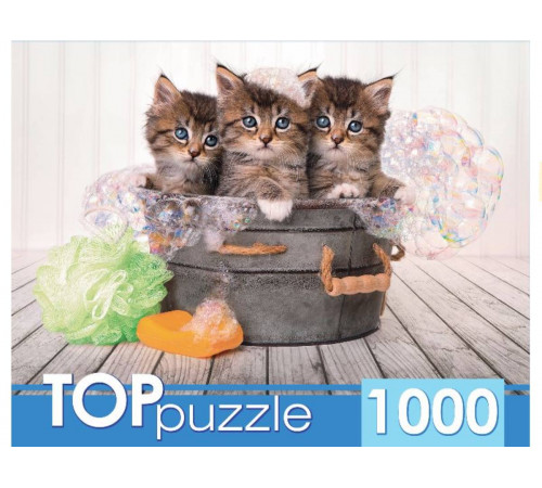 TOPpuzzle. ПАЗЛЫ 1000 элементов.  Три голубоглазых котёнка