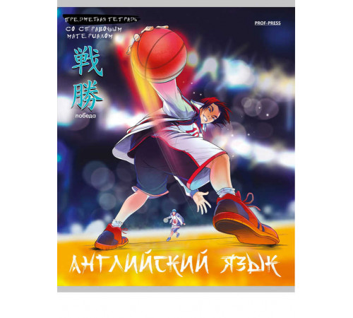 TM Prof-Press Тетрадь КЛЕТКА 48л. АНГЛИЙСКИЙ ЯЗЫК «АНИМЕ» (48-9415) стандарт, холод фольга, софт-тач 48-9415
