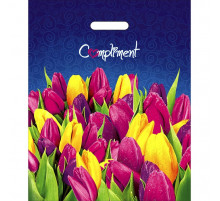 Пакет 38*47=60 Комплимент ВД Глянец прор (50/1000) № 9