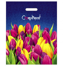 Пакет 38*47=60 Комплимент ВД Глянец прор (50/1000) № 9