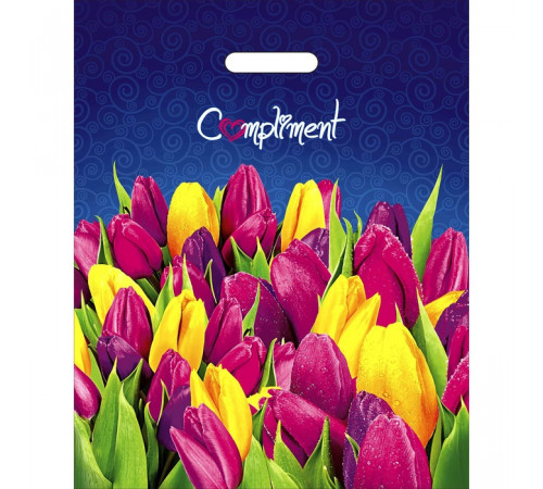 Пакет 38*47=60 Комплимент ВД Глянец прор (50/1000) № 9