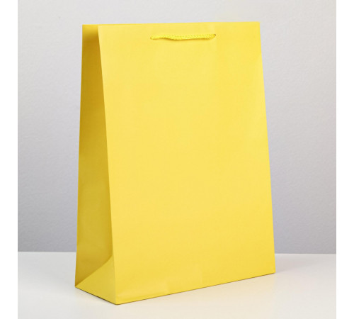 Пакет ламинированный «Жёлтый», L 28 х 38 х 9 см