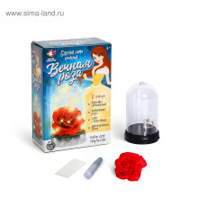 ШКОЛА ТАЛАНТОВ Набор для творчества Сделай сама ночник 