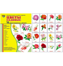 Демонстрационые картинки СУПЕР Цветы садовые. 16 демонстр. картинок с текстом (учебно-методическое пособие с комплектом демонстрационного материала 173х220 мм)