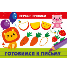 ПЕРВЫЕ ПРОПИСИ. Готовимся к письму