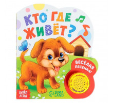 Книжка с музыкальным чипом 