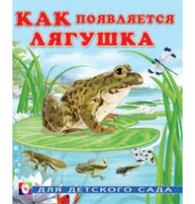 Книжки в мягкой обложке - Познавательное Чтение. Раннее развитие. Как появляется лягушка