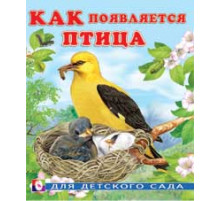 Книжки в мягкой обложке - Познавательное Чтение. Раннее развитие. Как появляется птица