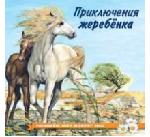 Книжки в мягкой обложке - Познавательное Чтение. Познаем мир вокруг нас. Приключения жеребенка