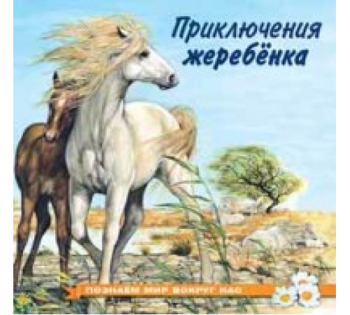 Книжки в мягкой обложке - Познавательное Чтение. Познаем мир вокруг нас. Приключения жеребенка Книжки в мягкой обложке - Познавательное Чтение. Познаем мир вокруг нас. Приключения жеребенка