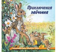 Книжки в мягкой обложке - Познавательное Чтение. Познаем мир вокруг нас. Приключения зайчонка