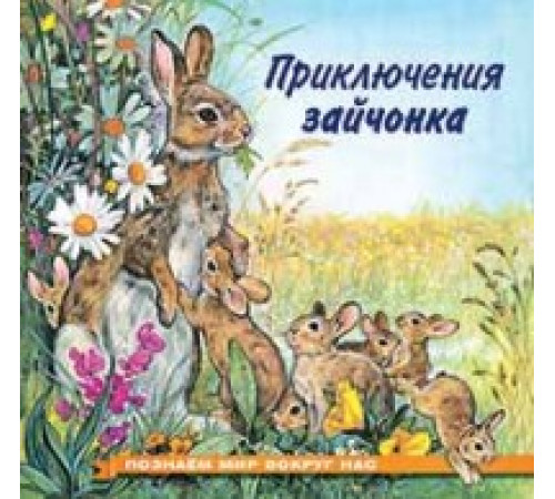 Книжки в мягкой обложке - Познавательное Чтение. Познаем мир вокруг нас. Приключения зайчонка Книжки в мягкой обложке - Познавательное Чтение. Познаем мир вокруг нас. Приключения зайчонка
