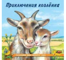 Книжки в мягкой обложке - Познавательное Чтение. Познаем мир вокруг нас. Приключения козленка