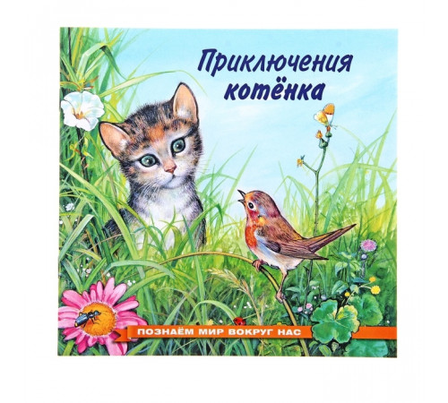 Книжки в мягкой обложке - Познавательное Чтение. Познаем мир вокруг нас. Приключения котенка