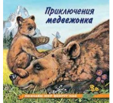 Книжки в мягкой обложке - Познавательное Чтение. Познаем мир вокруг нас. Приключения медвежонка