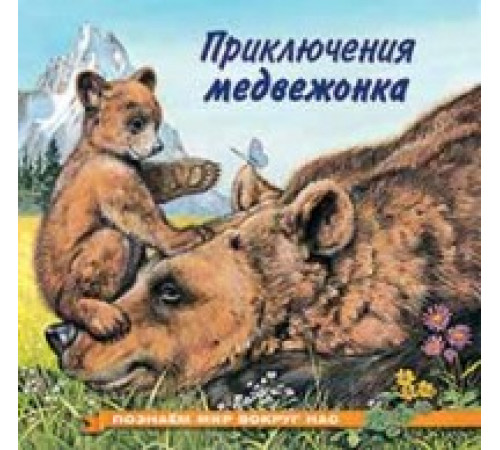 Книжки в мягкой обложке - Познавательное Чтение. Познаем мир вокруг нас. Приключения медвежонка