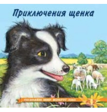 Книжки в мягкой обложке - Познавательное Чтение. Познаем мир вокруг нас. Приключения щенка
