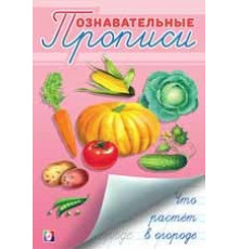 Познавательные прописи. Что растет в огороде