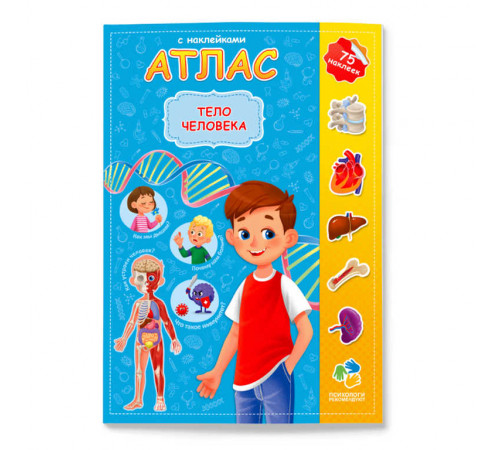 Атлас с наклейками. Тело человека. 21х29,7 см. 16 стр.