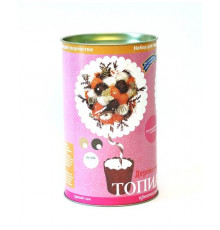 Набор для творчества топиарий 