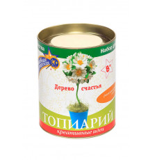Набор для творчества топиарий 