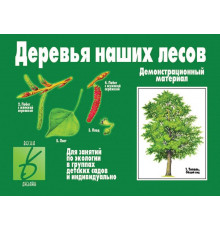 Игра-Деревья наших лесов- Д-284