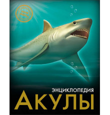 Энциклопедия. Хочу знать. Акулы.