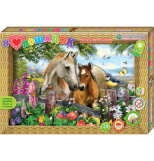 Набор для изготовления картины 