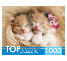 TOPpuzzle. ПАЗЛЫ 1000 элементов. Два спящих котенка