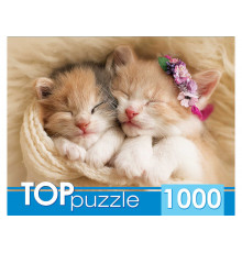 TOPpuzzle. ПАЗЛЫ 1000 элементов. Два спящих котенка