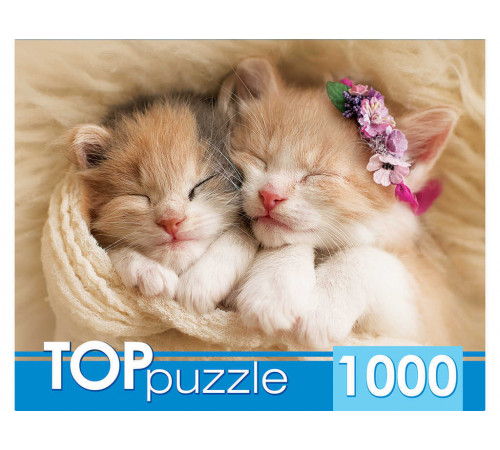 TOPpuzzle. ПАЗЛЫ 1000 элементов. Два спящих котенка