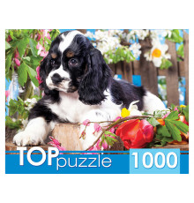 TOPpuzzle. ПАЗЛЫ 1000 элементов. ГИТП1000-2143 Щенок спаниеля в саду