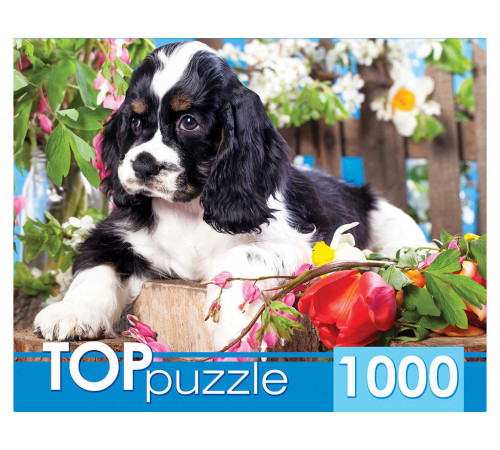 TOPpuzzle. ПАЗЛЫ 1000 элементов. ГИТП1000-2143 Щенок спаниеля в саду