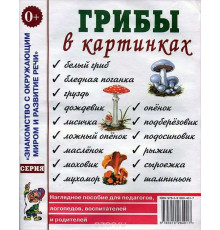 Грибы в картинках. Наглядное пособие для воспитателей, логопедов, педагогов, родителей. А4